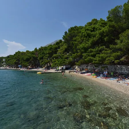 Maras * Локва-Рогозница